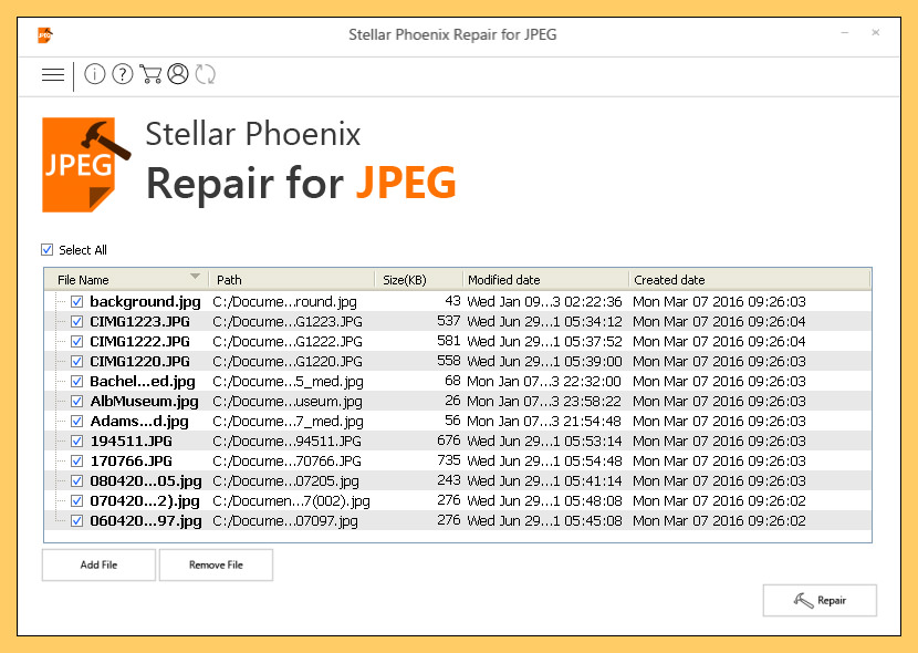 Stellar Phoenix JPEG Repair [8.3.0.0] Crack With Activation Keygen